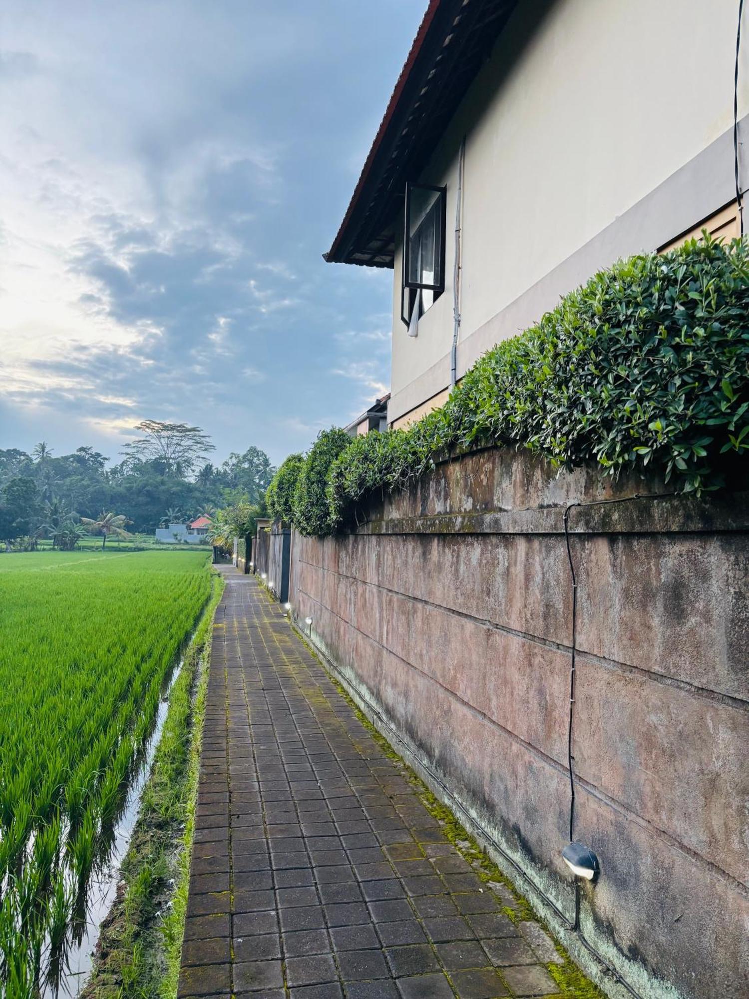 Uma Padi Villa Ubud Eksteriør bilde