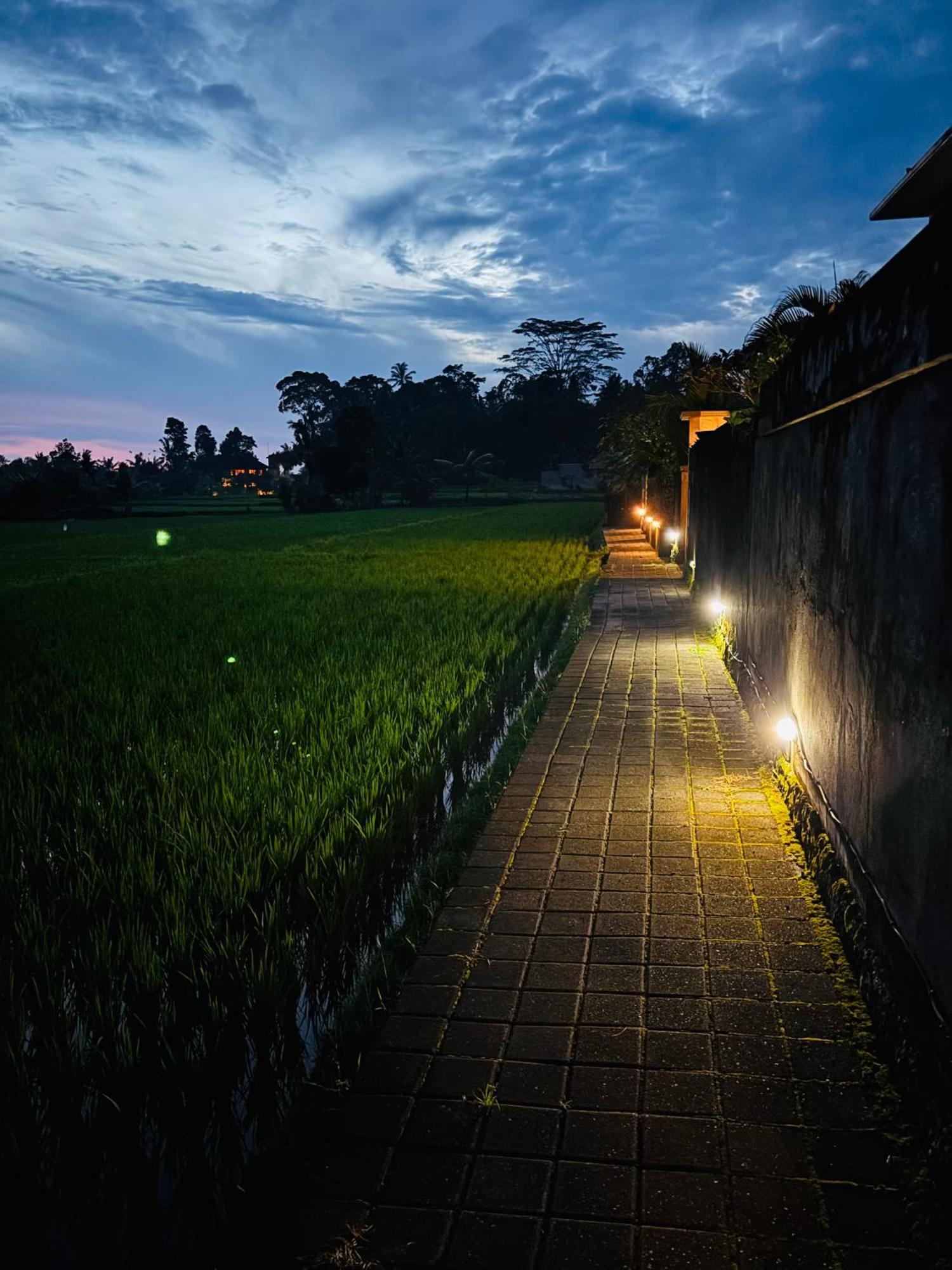Uma Padi Villa Ubud Eksteriør bilde
