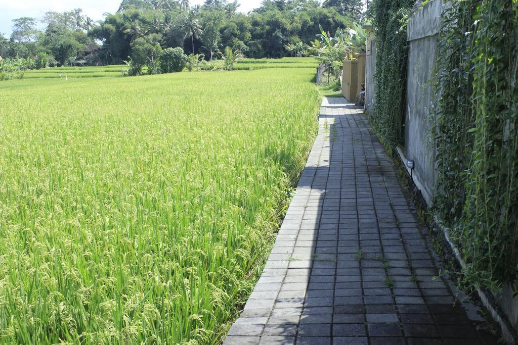 Uma Padi Villa Ubud Eksteriør bilde